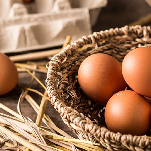 Debunking the Egg Myths – Fact vs Myth on Cholesterol & Egg!