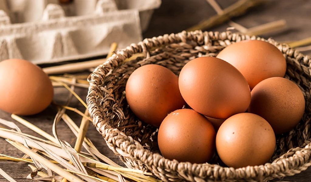 Debunking the Egg Myths – Fact vs Myth on Cholesterol & Egg!